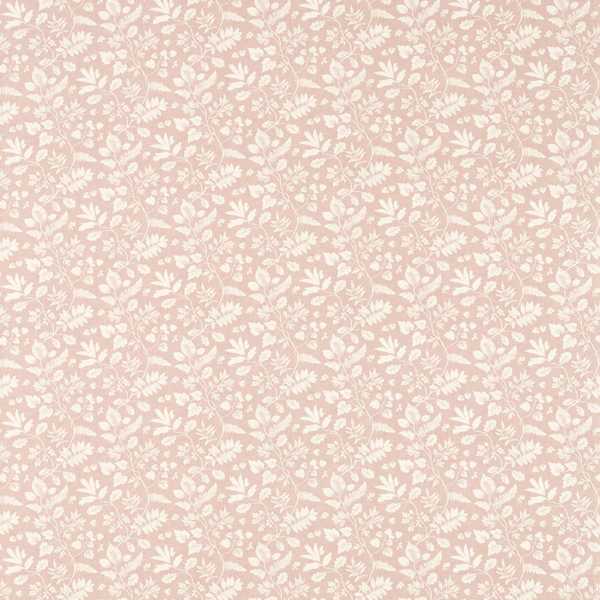 Bellever Blush