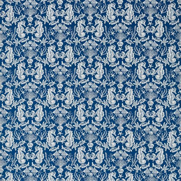 Aquarium Navy