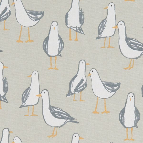 Laridae Taupe