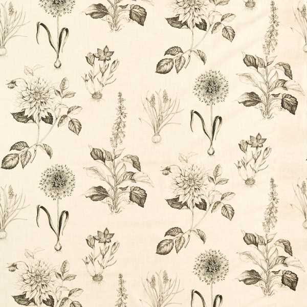 Roseraie Charcoal