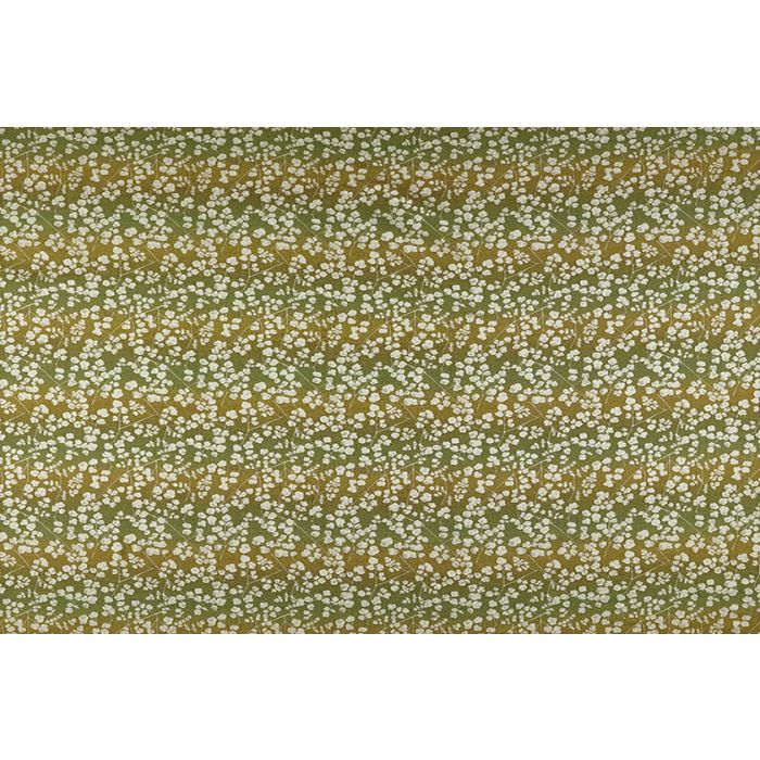 Rue Olive