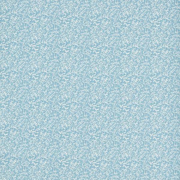 Seabed Cloud