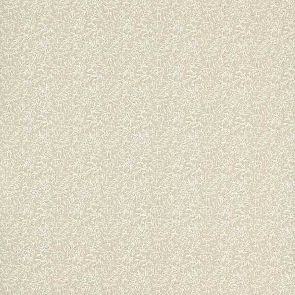 Seabed Natural