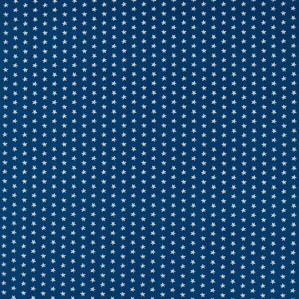 Seastar Navy