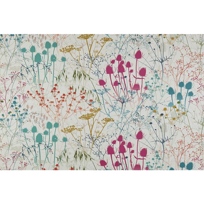 Summer Border Rainbow