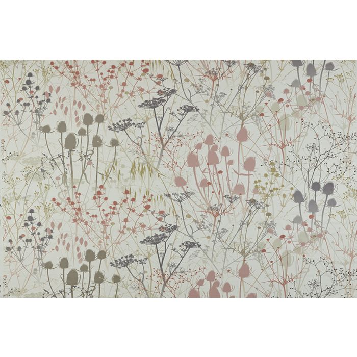Summer Border Shell