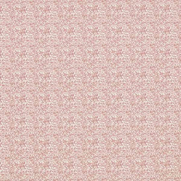 Swinley Blush