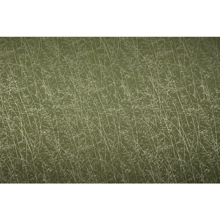 Whispering Grass Olive