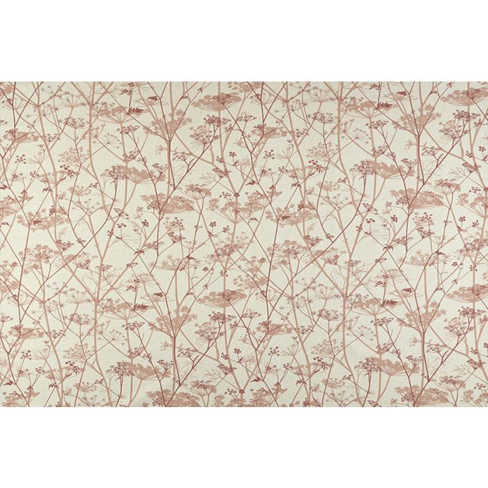 Wild Chervil Terracotta