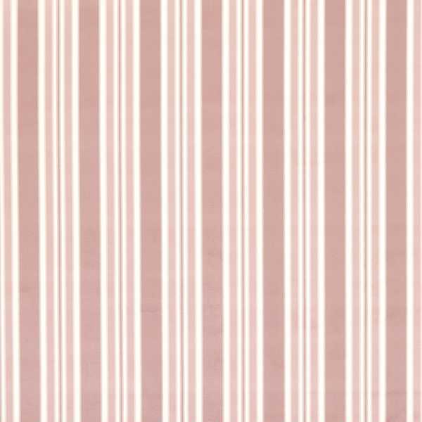 Wilmott Blush