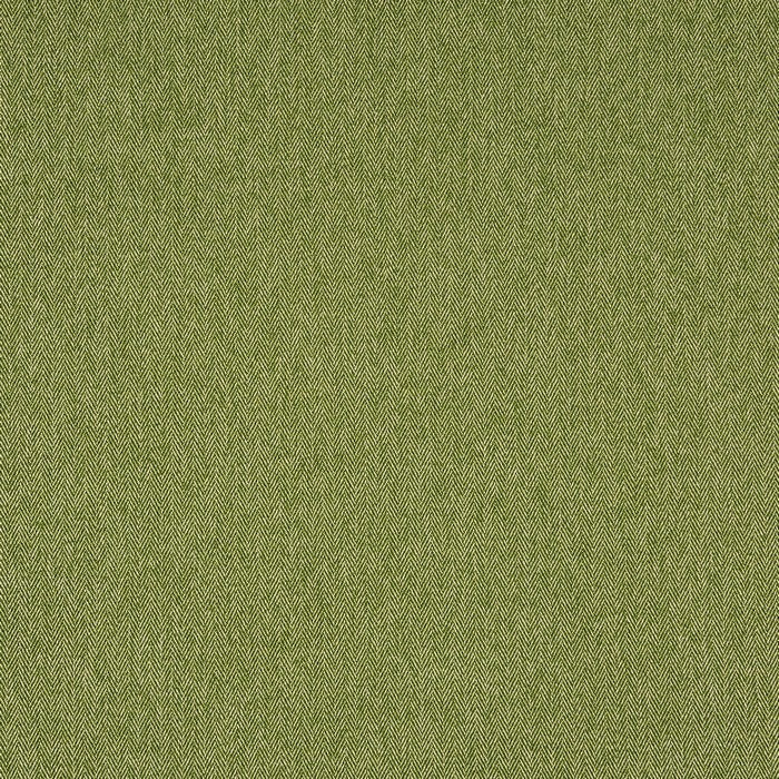 Flynn Cactus