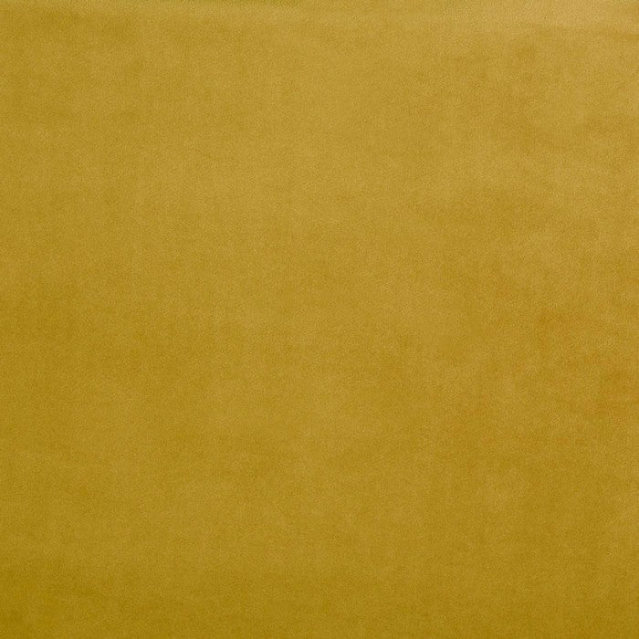 Belgravia Zest
