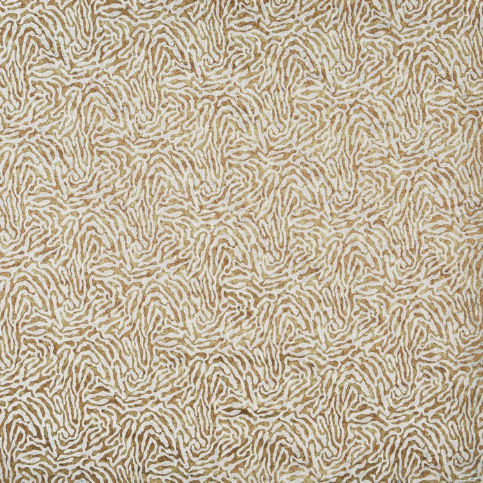 Serengeti Sahara