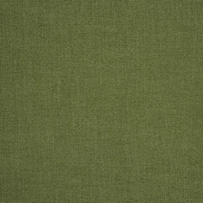Saxon Olive