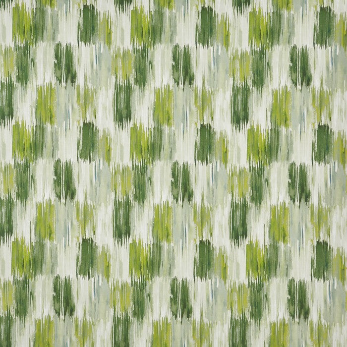 Long Beach Cactus
