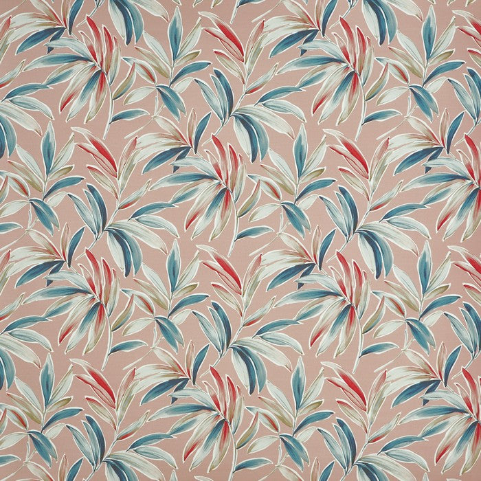 Ventura Flamingo