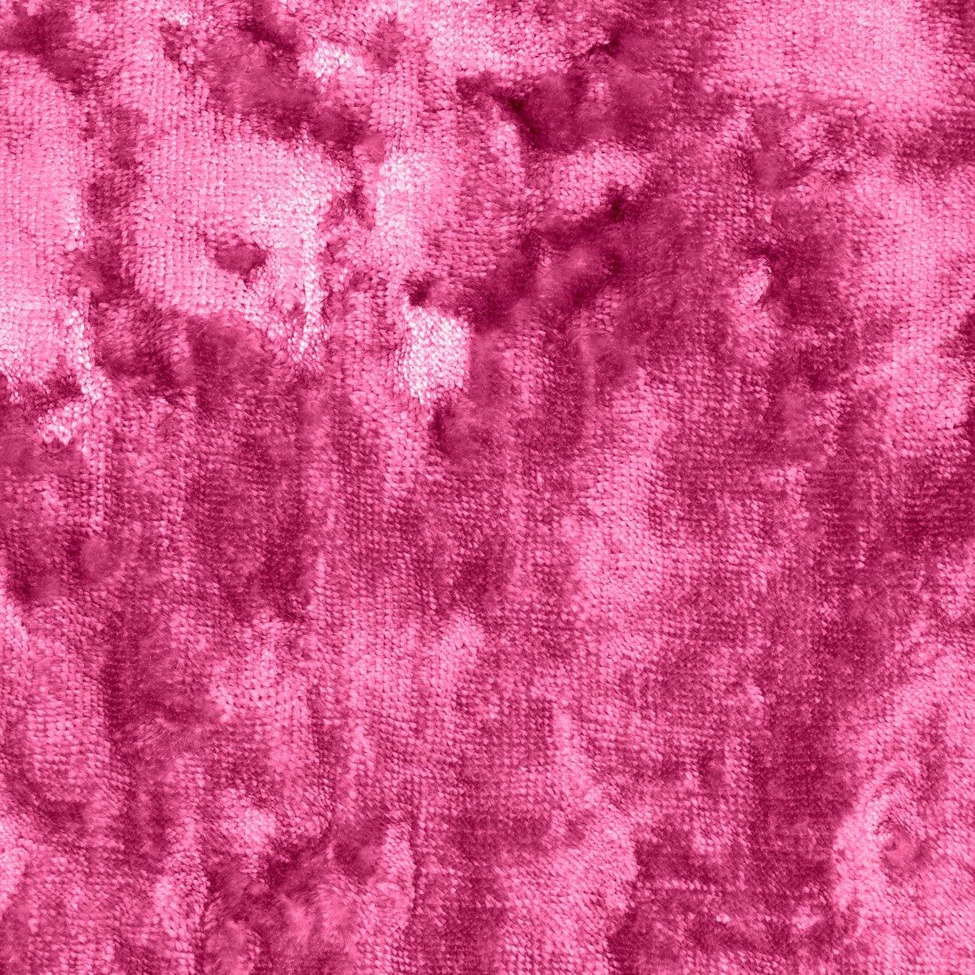 Crush Carnation