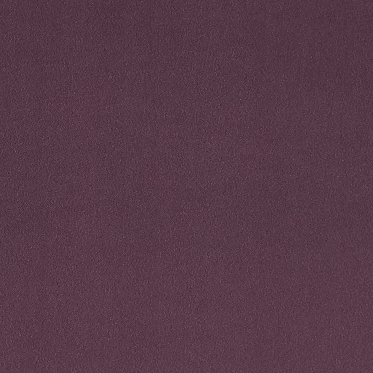 Lucca Heather