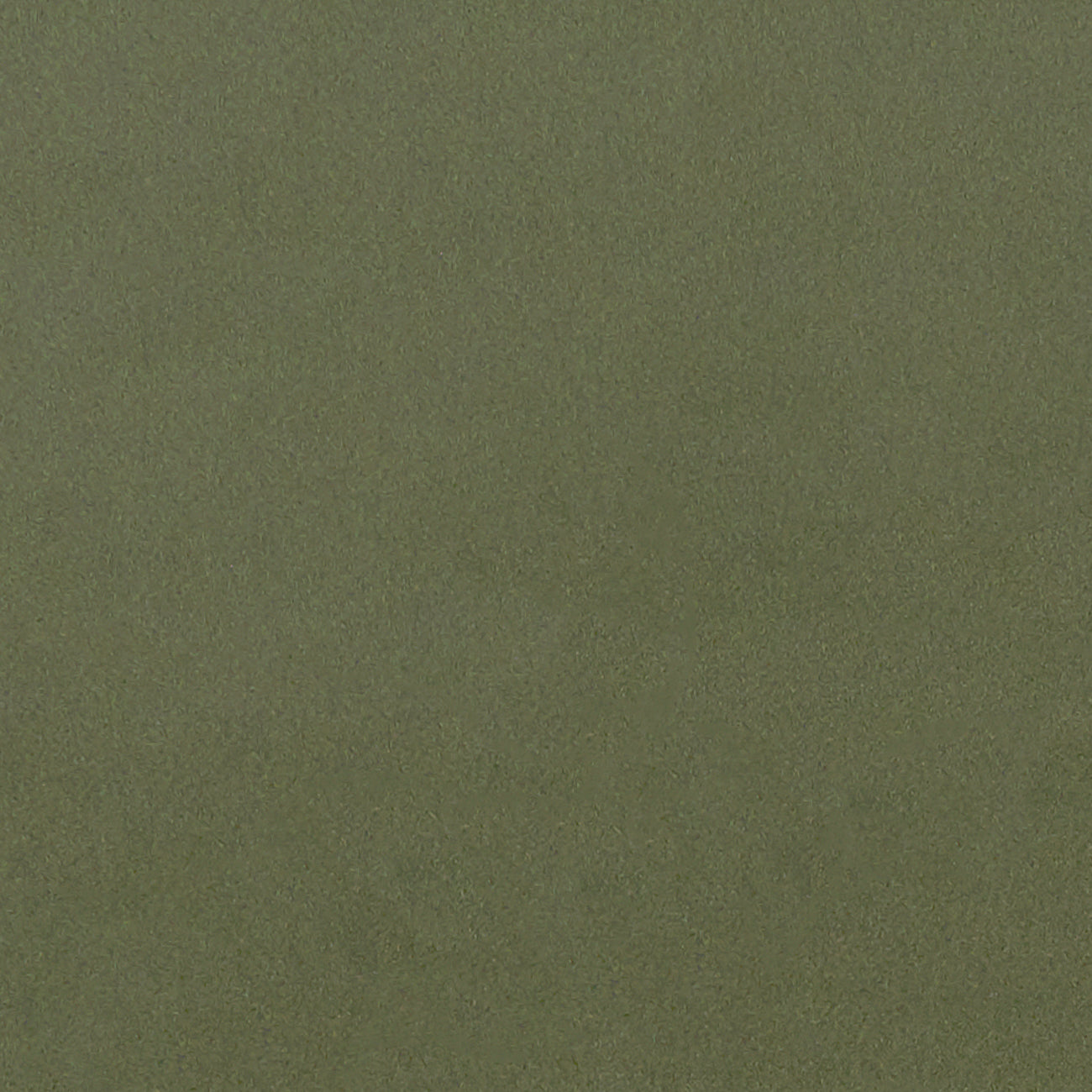 Lucca Herb