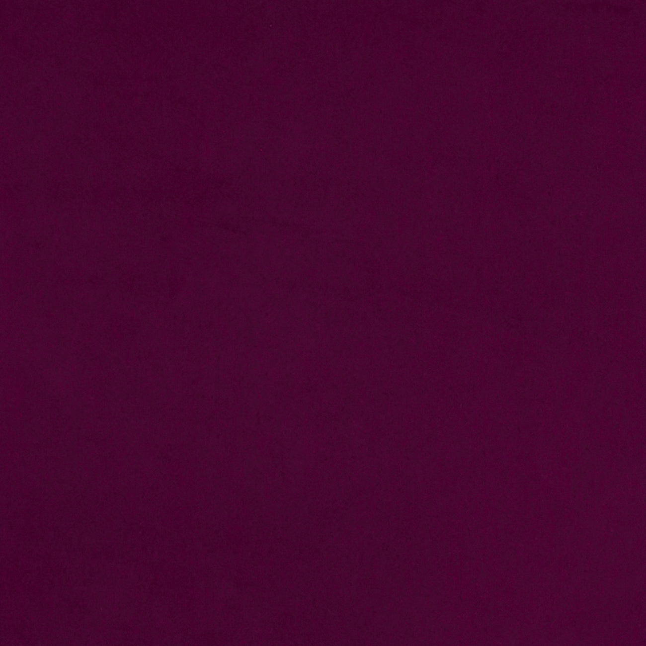 Lucca Magenta