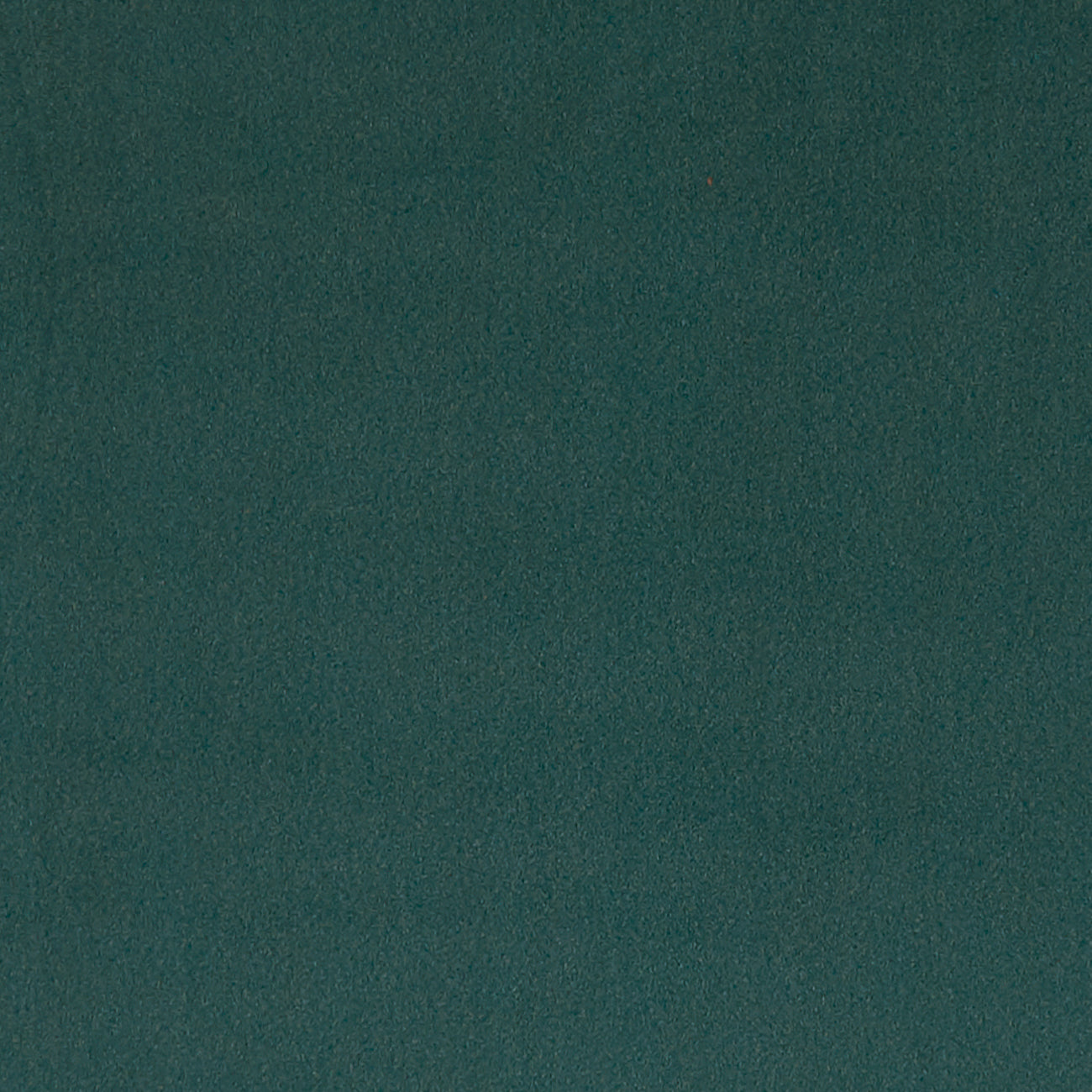 Lucca Teal