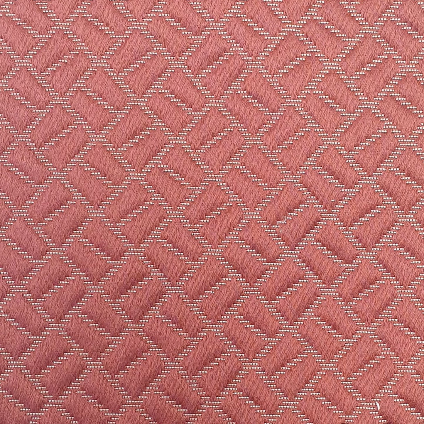 Moreton Coral