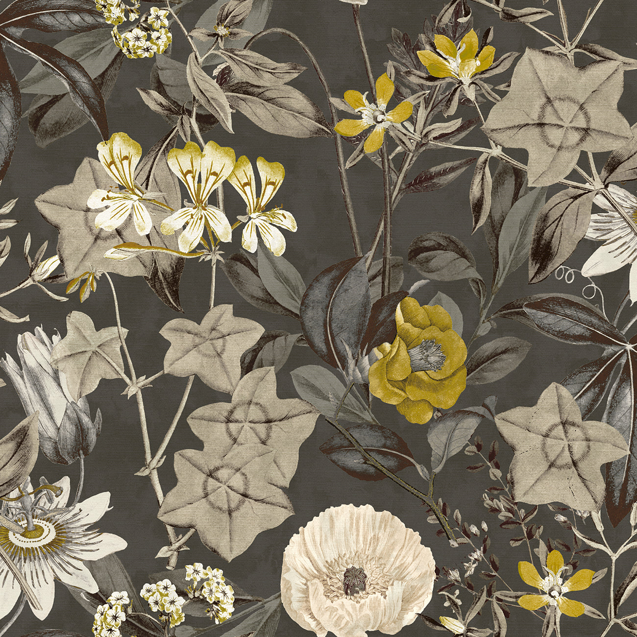 Passiflora Charcoal