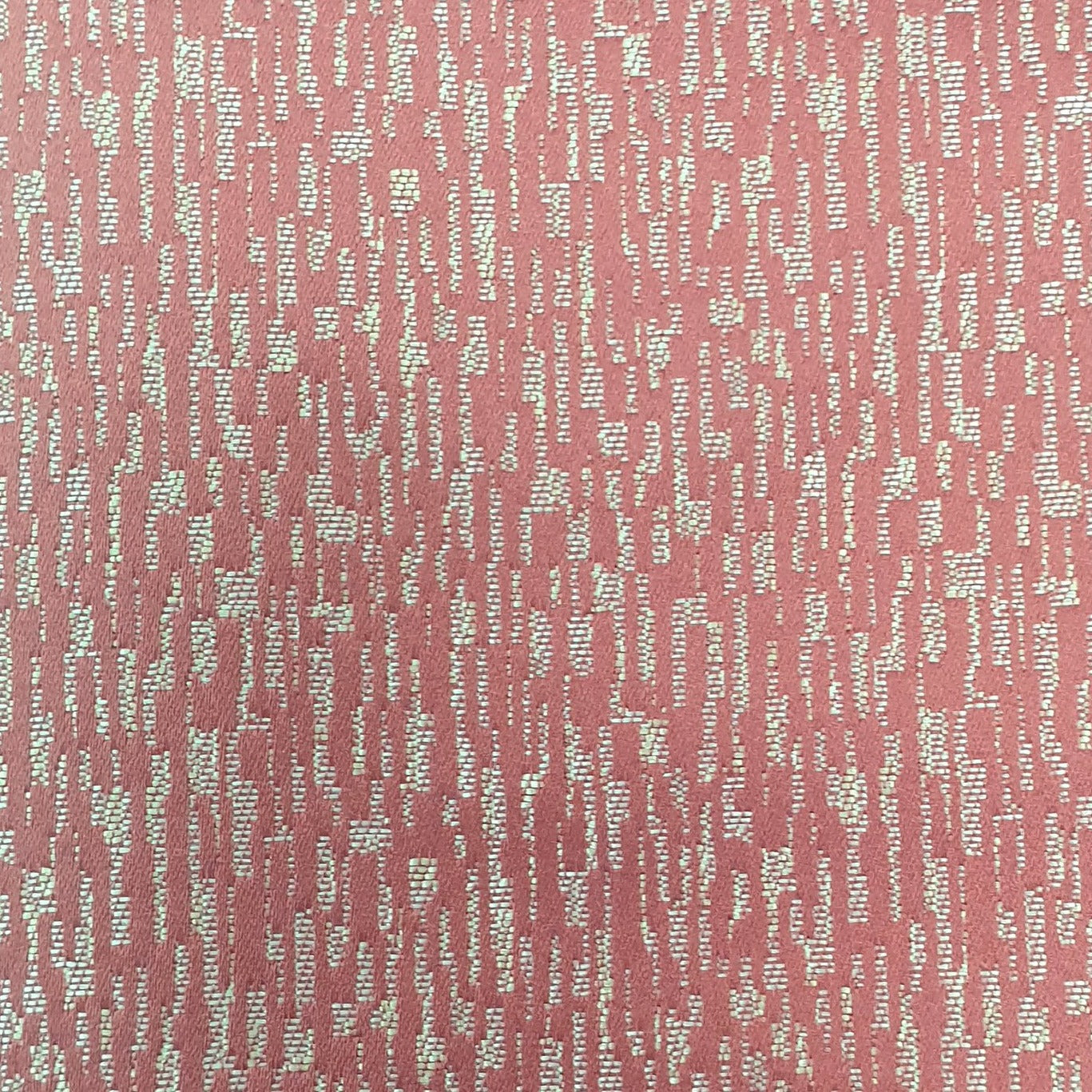 Shiloh Coral