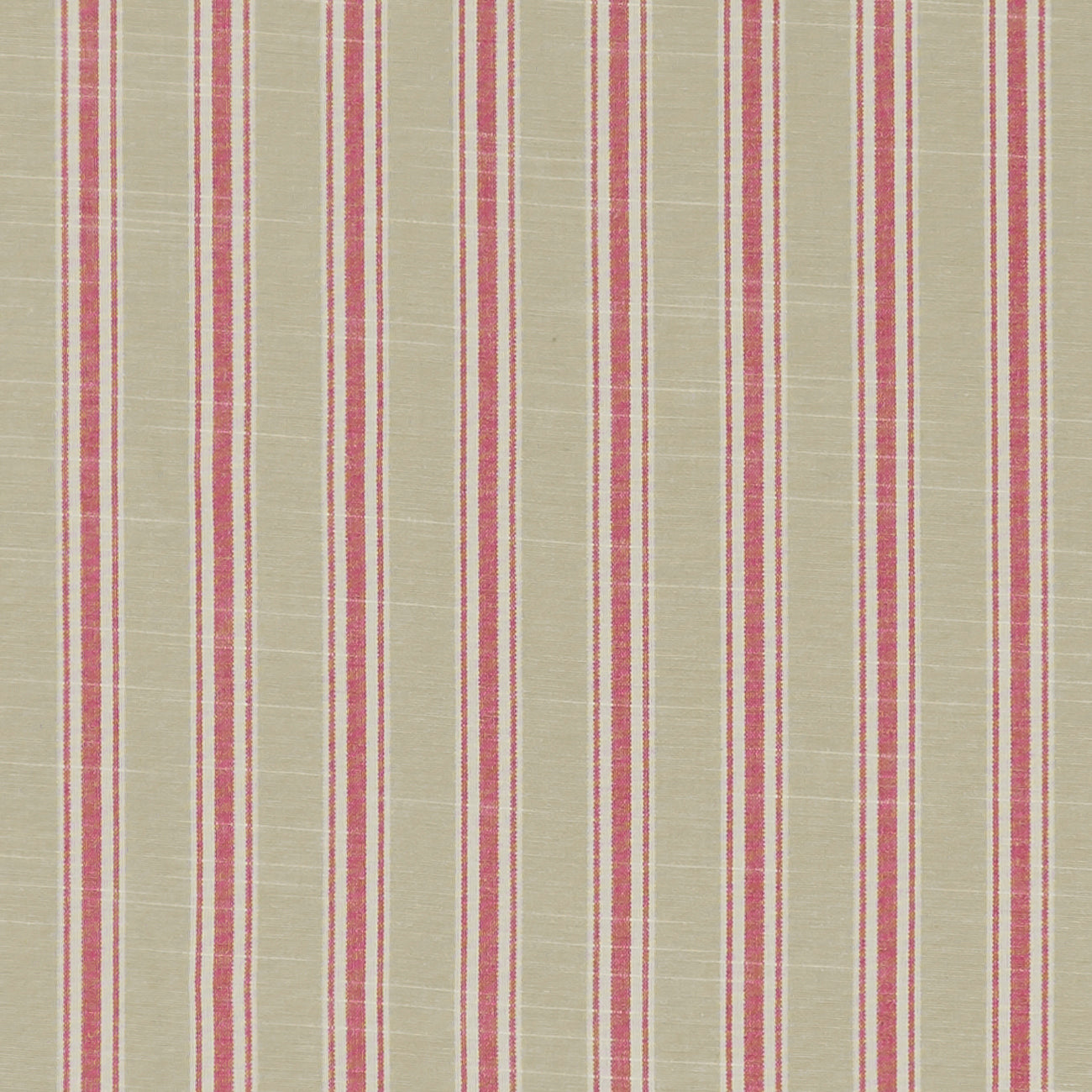 Thornwick Fuchsia