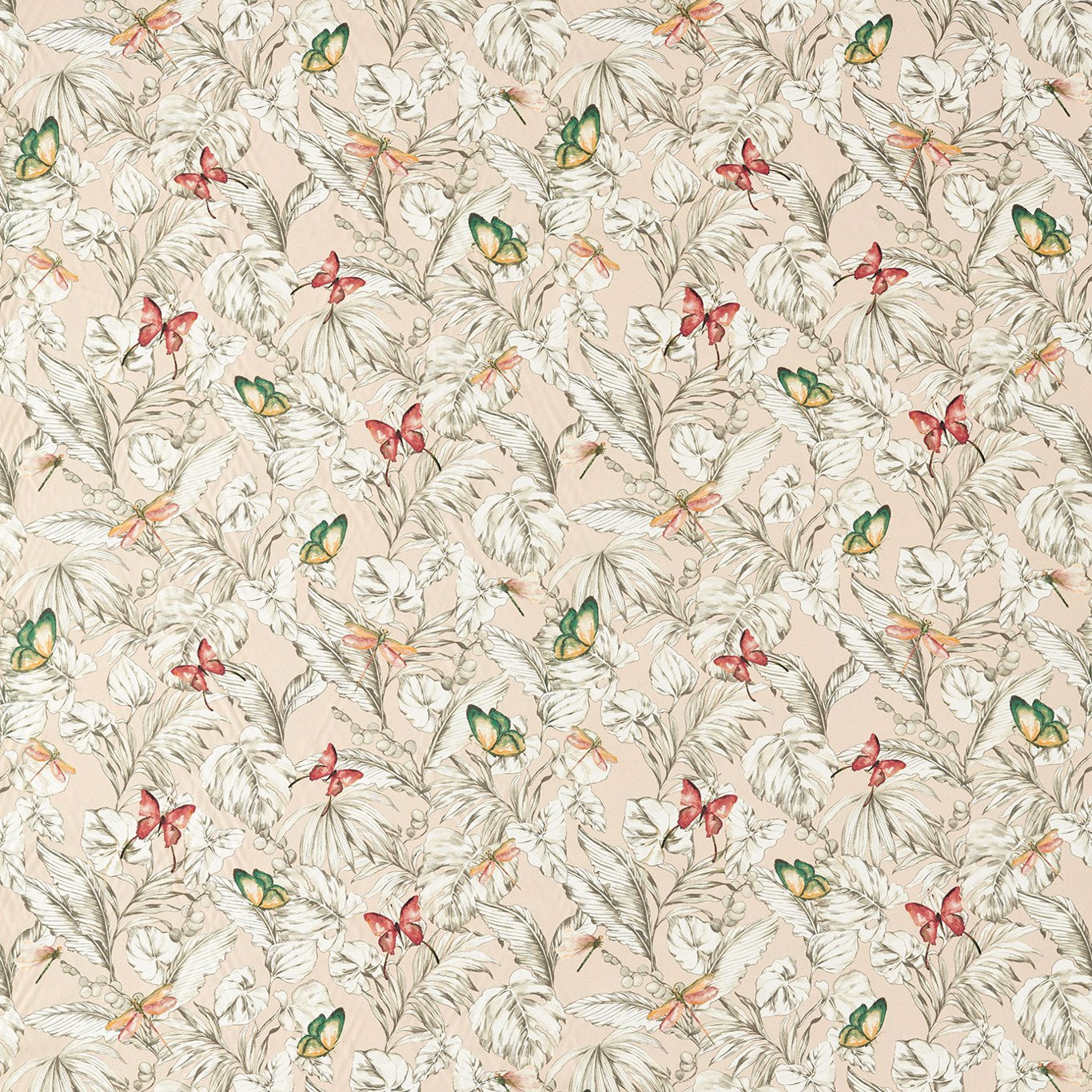 Acadia Blush