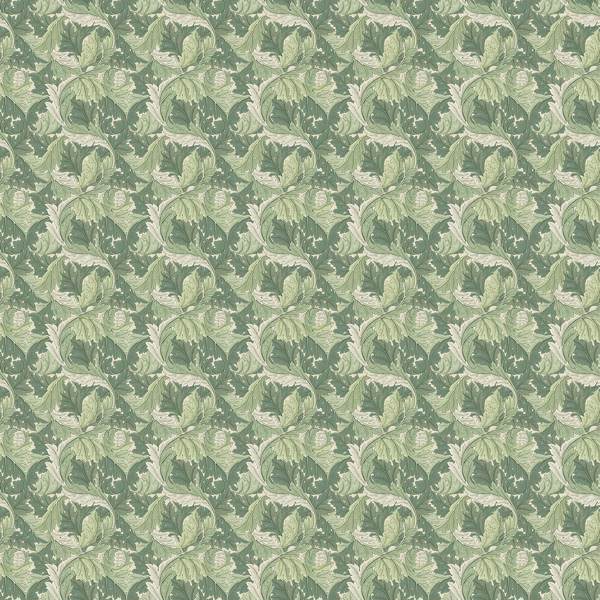 Acanthus Apple/Sage