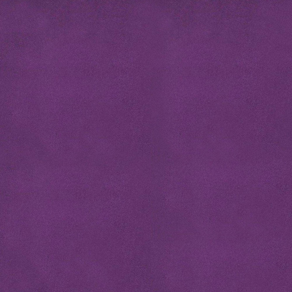 Alaska Aubergine