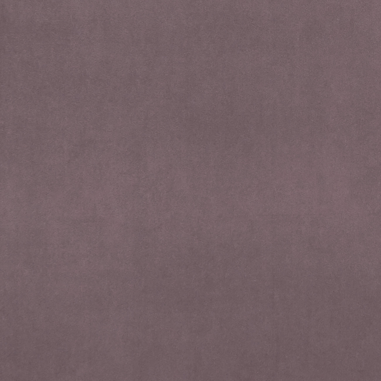Alvar Amethyst