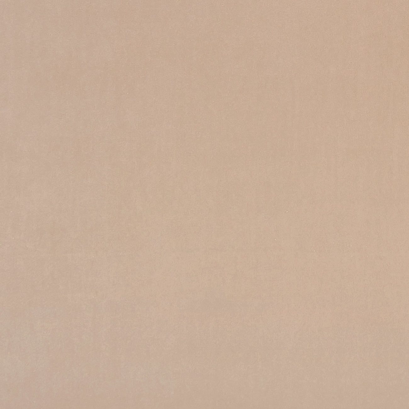 Alvar Nude