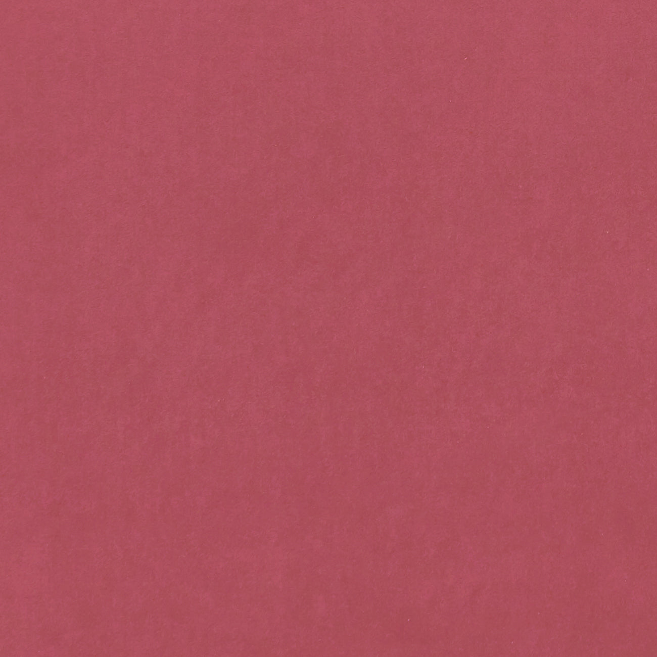 Alvar Peony