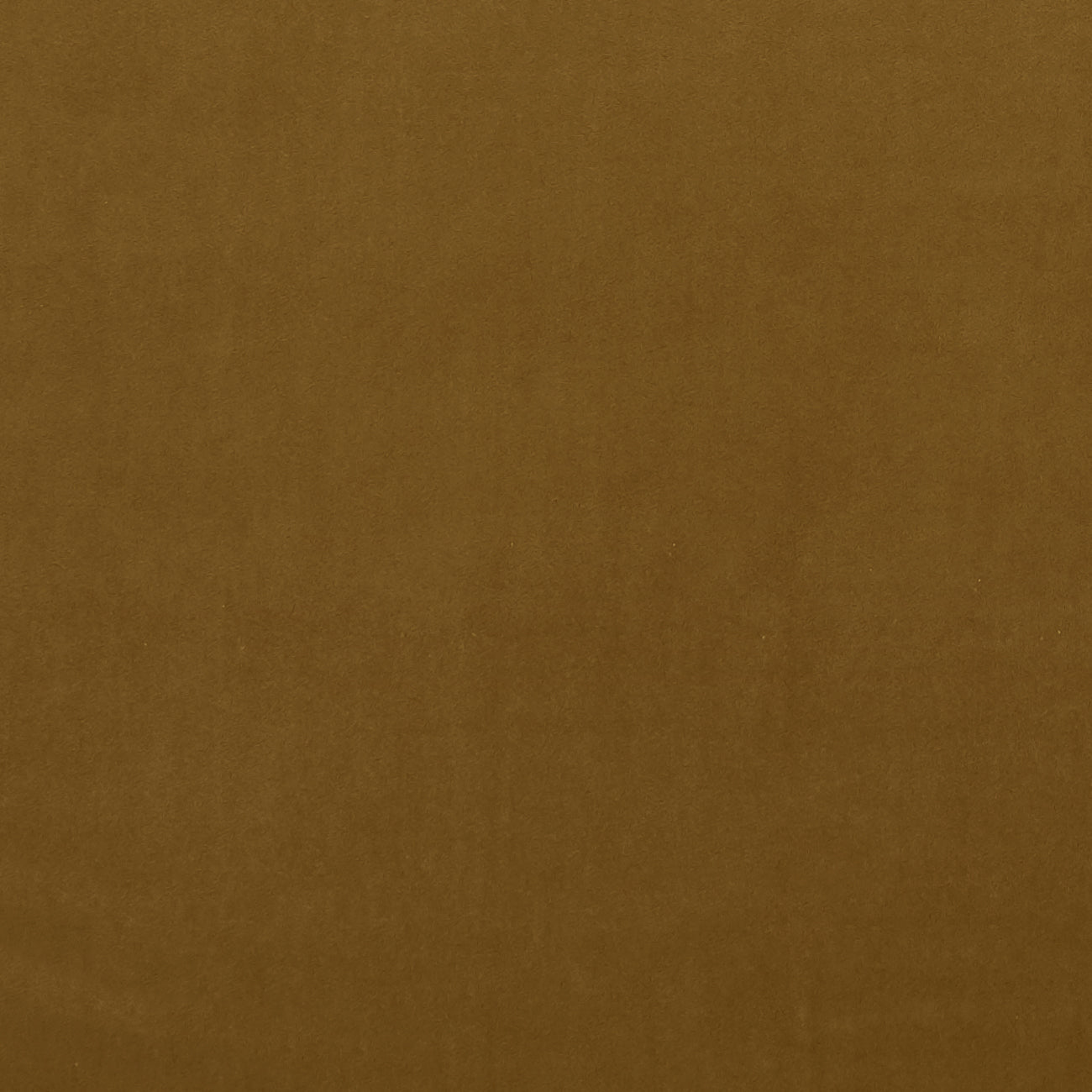 Alvar Tumeric