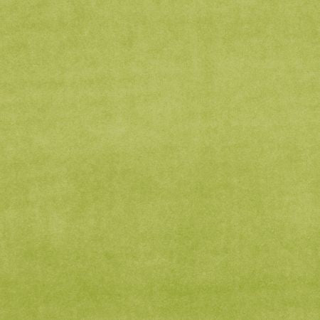 Clarke & Clarke Alvar Citron