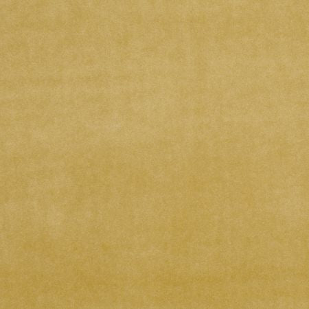 Clarke & Clarke Alvar Olive