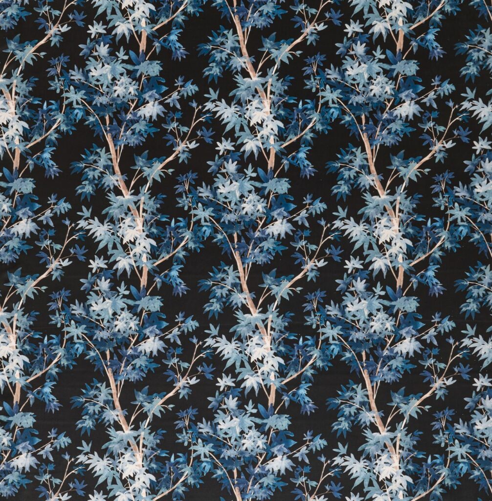 Aspen Midnight