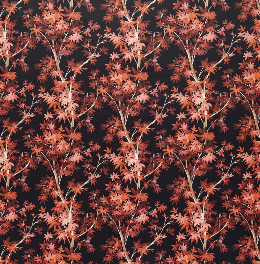Aspen Scarlet