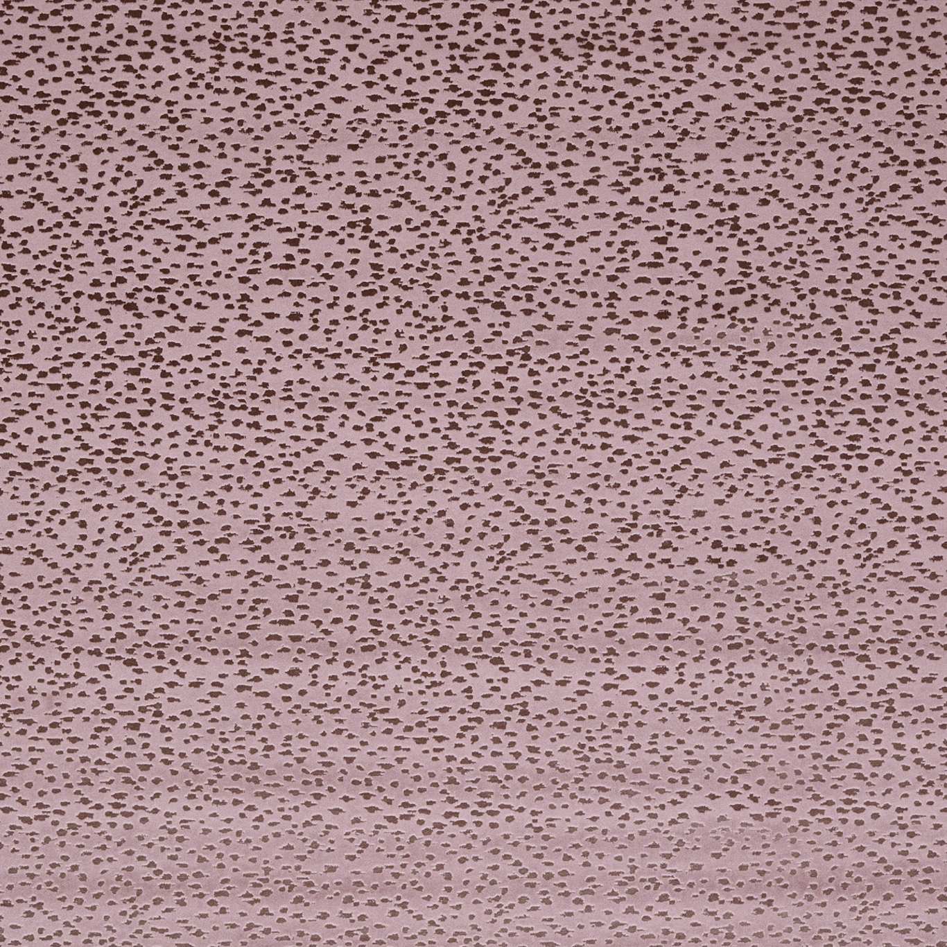 Astral Heather