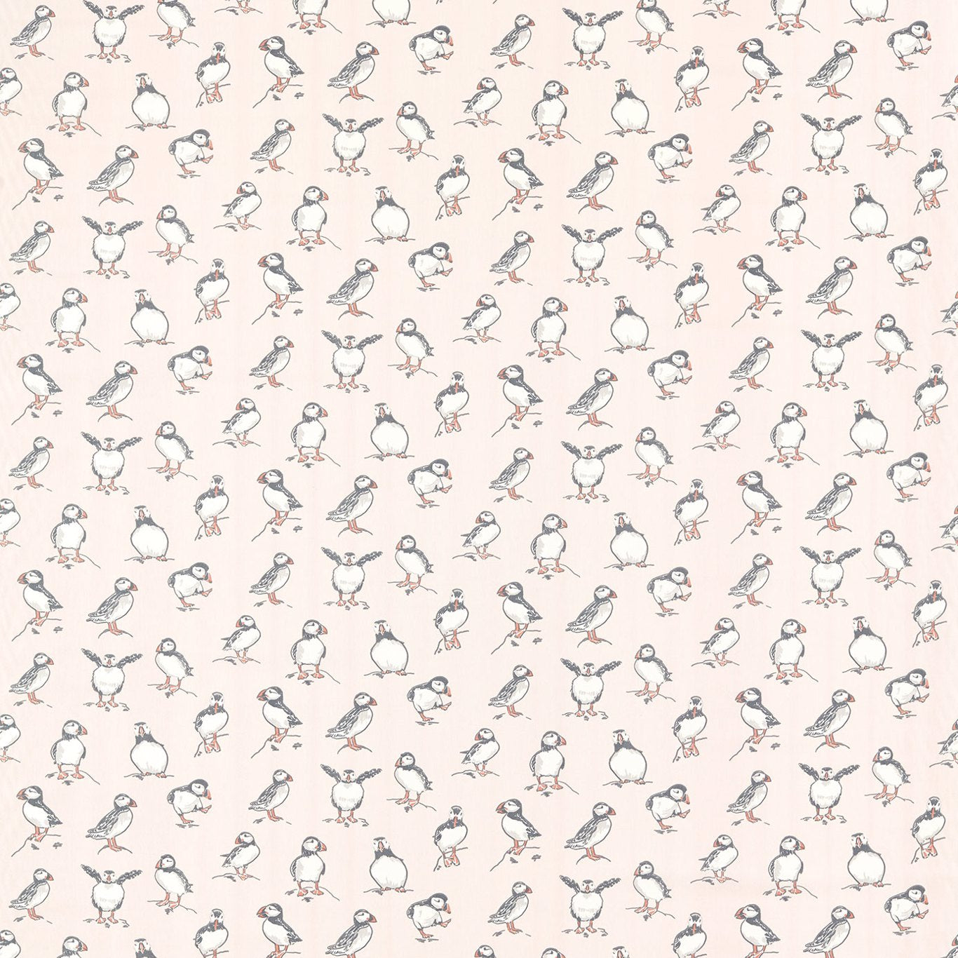 Atlantic Blush
