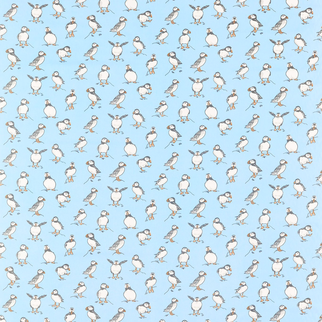 Atlantic Powder Blue