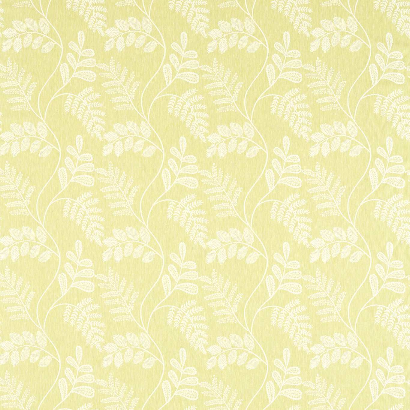 Audette Citron