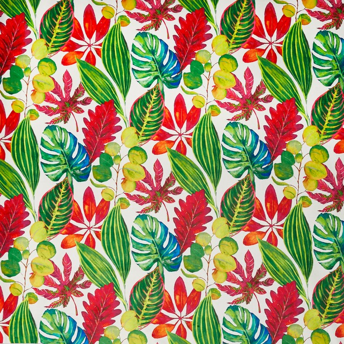 Bahamas Tropical