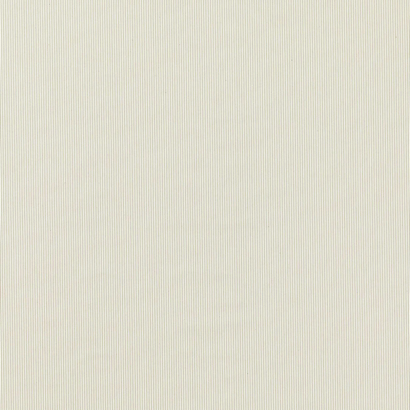 Breton Dove
