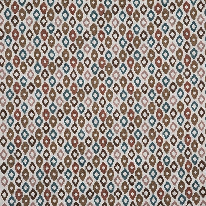 Cassia Nutmeg