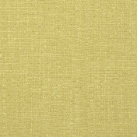 Clarke & Clarke Easton Acacia