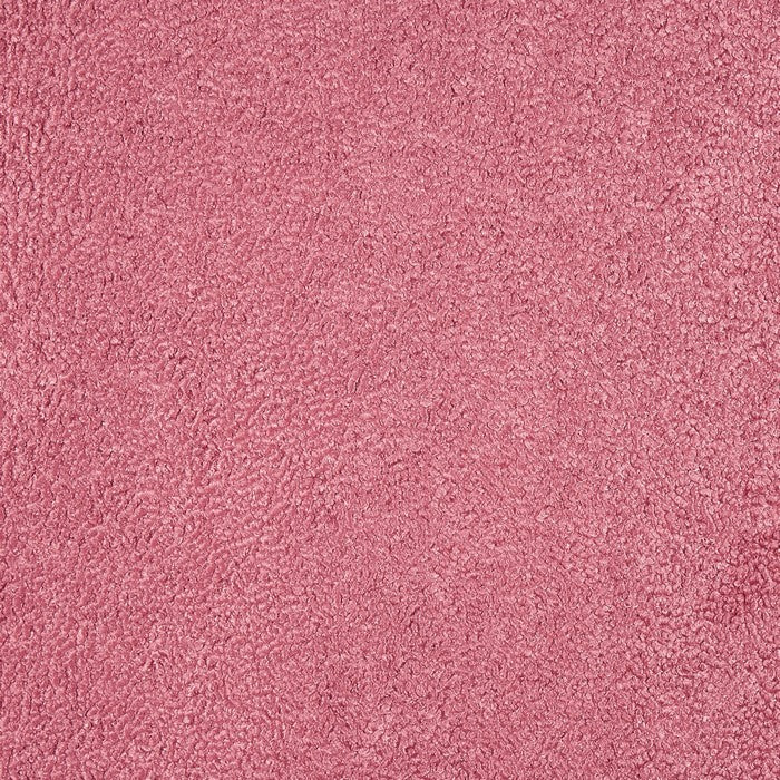 Fergus Raspberry