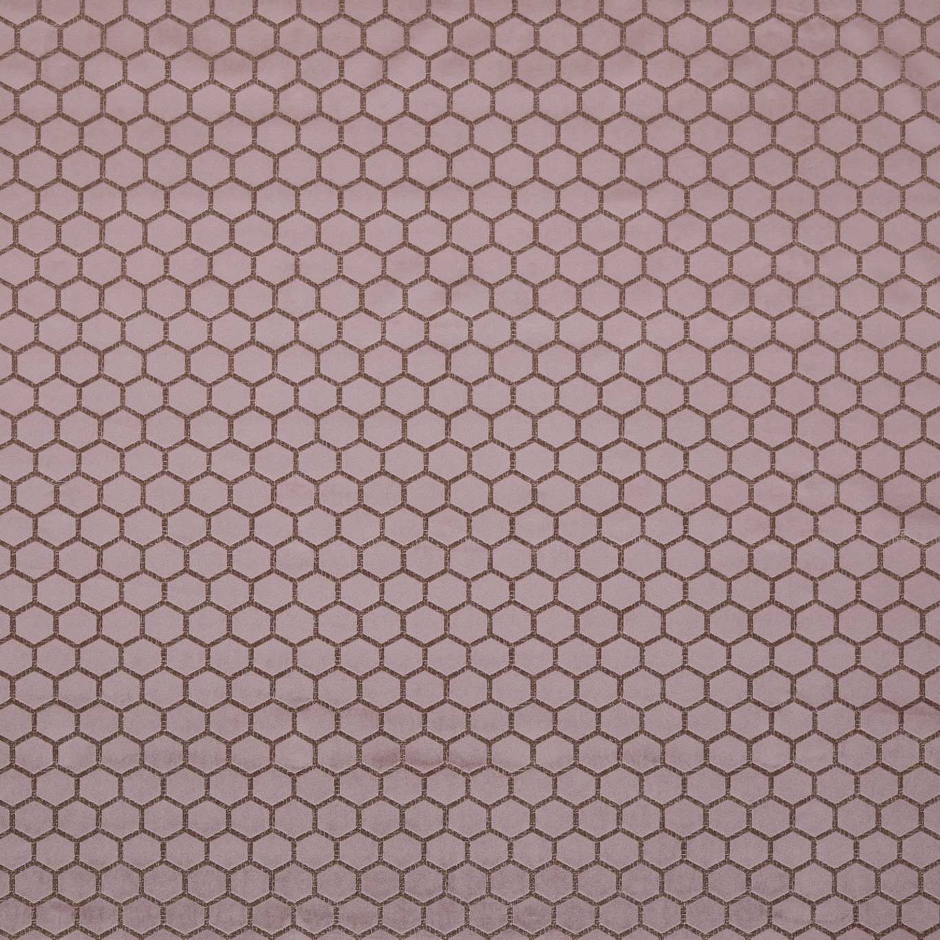 Hexa Heather